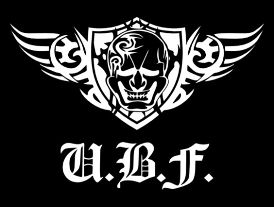 UBF格闘技ジム